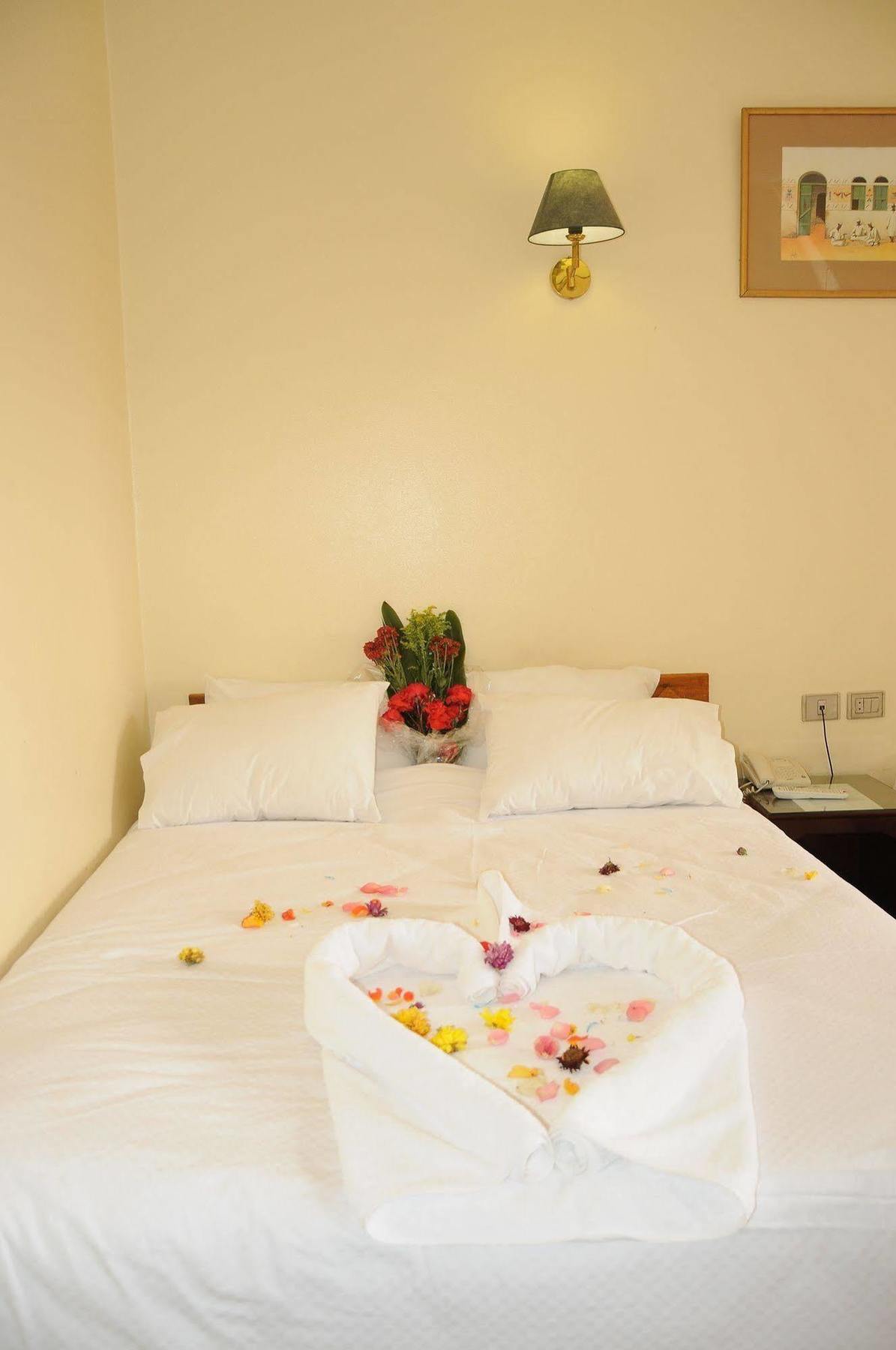 Nile Hotel Aswan Zewnętrze zdjęcie